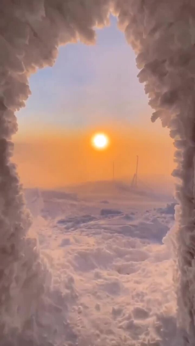Солянка от 20.02.2026