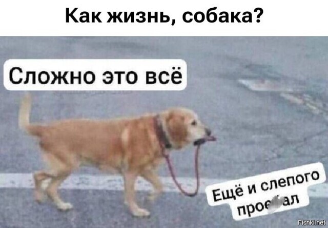 Солянка от 20.02.2026