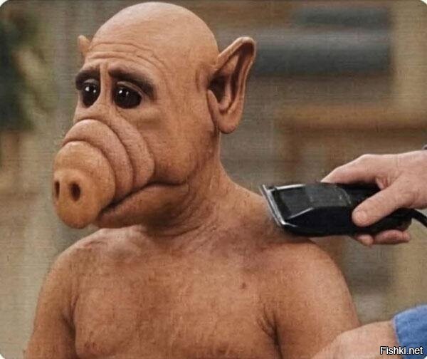 Солянка от 21.02.2026