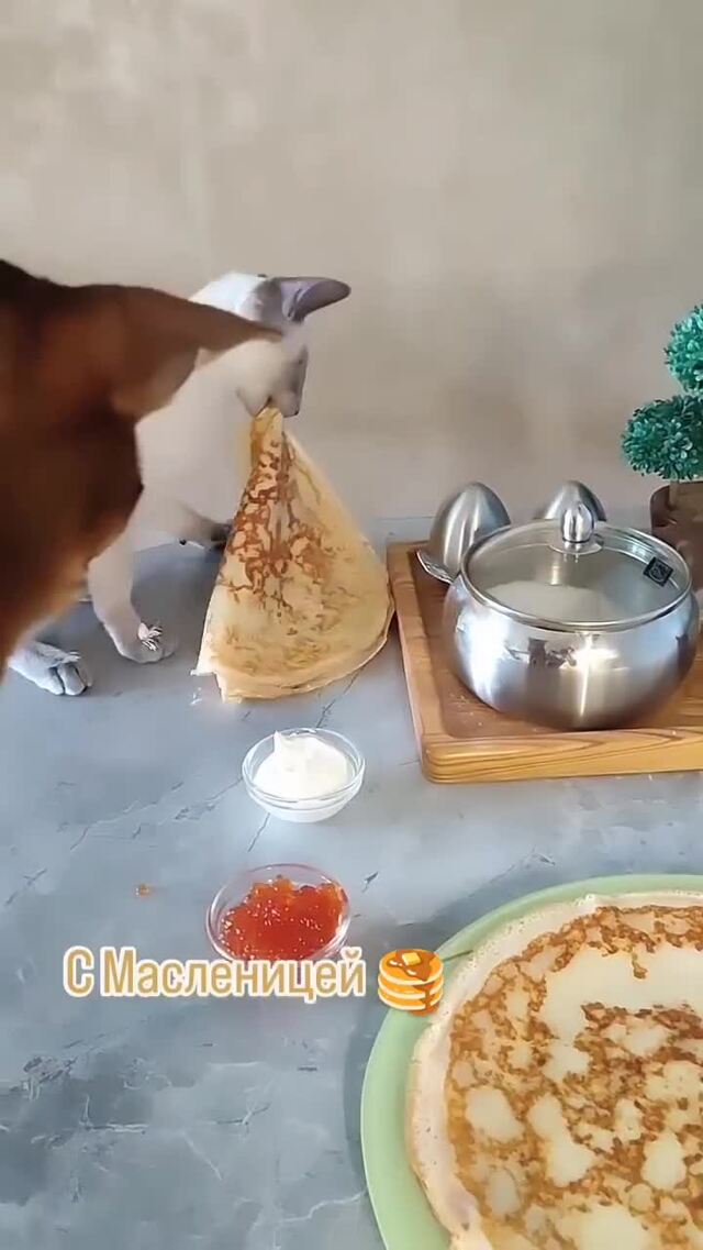 Солянка от 21.02.2026