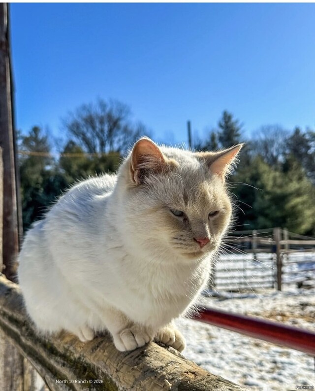 Солянка от 21.02.2026