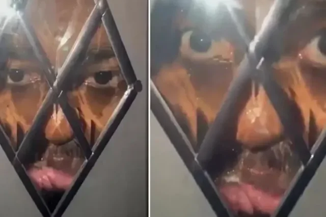 В Англии неизвестный ночью смотрел в стеклянную дверь дома