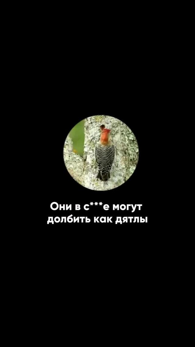 Врач с 20-летним стажем решил успокоить закомплексованных бедолаг и разбить н...