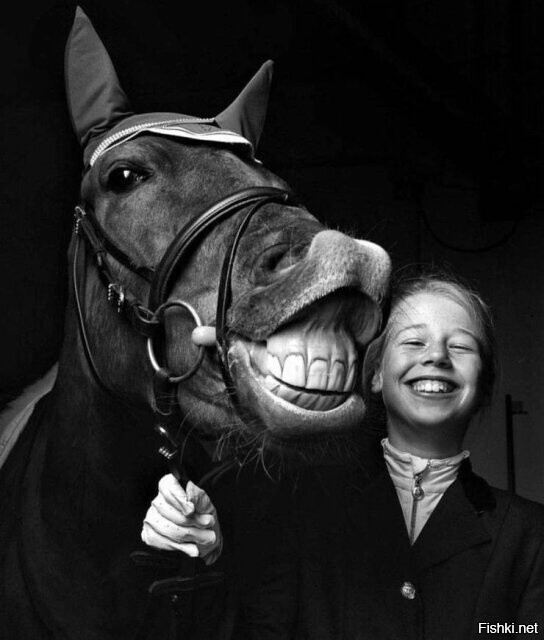 Солянка от 21.02.2026