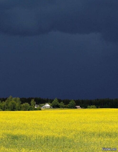 Солянка от 21.02.2026