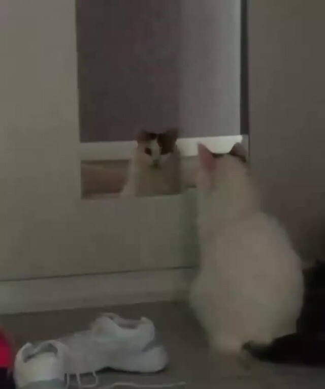 Солянка от 21.02.2026