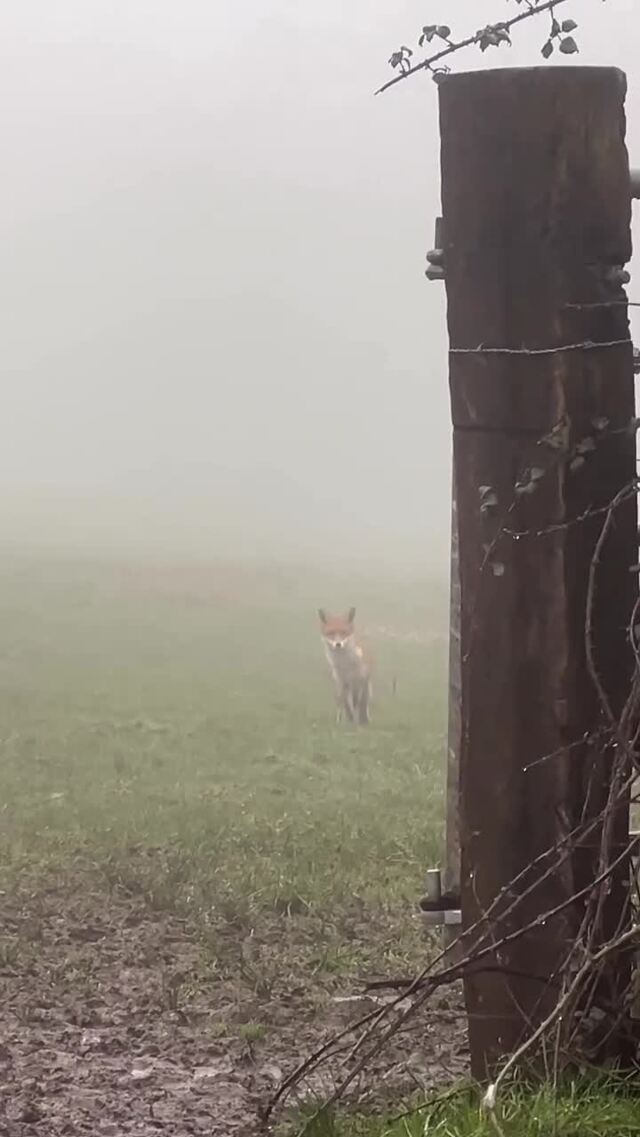 Солянка от 21.02.2026