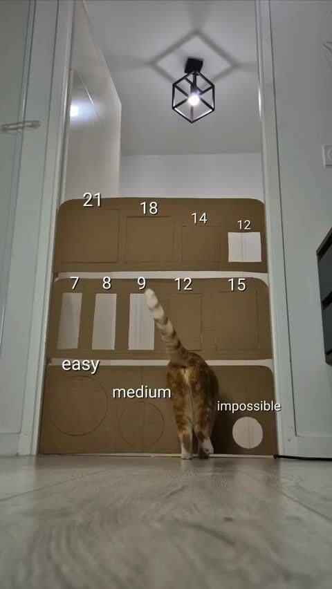 Солянка от 21.02.2026