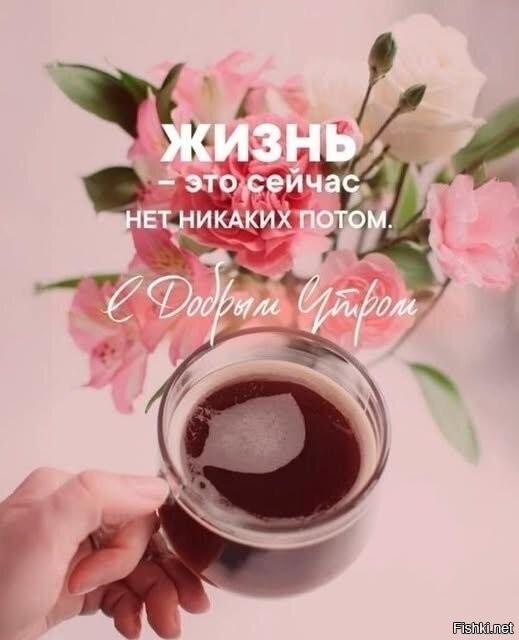 Солянка от 21.02.2026