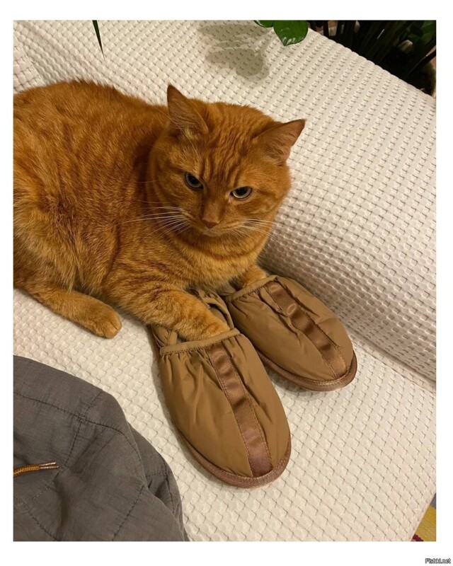 Солянка от 21.02.2026