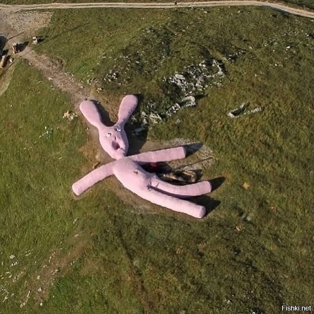 Бросила, зараза