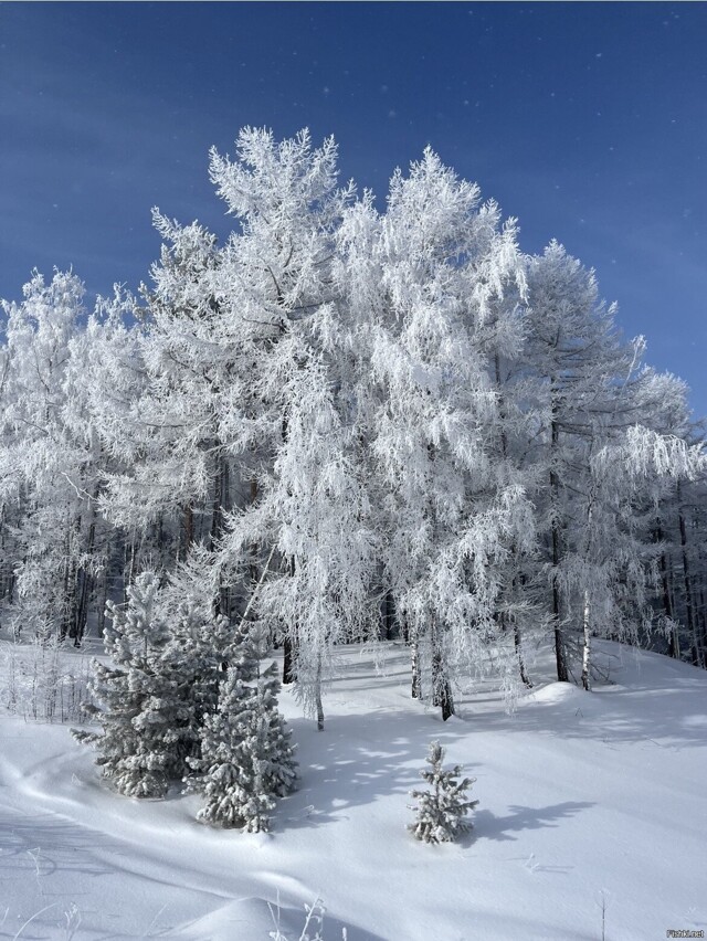 Солянка от 21.02.2026