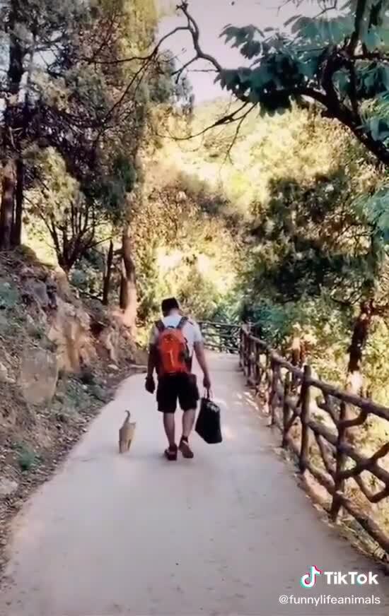 Солянка от 21.02.2026