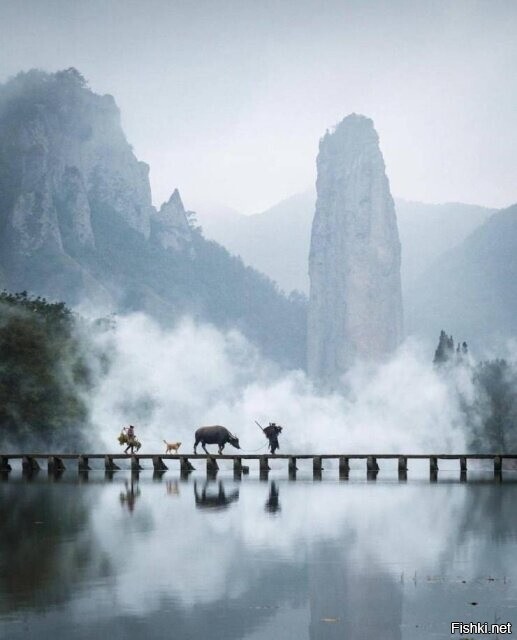 Солянка от 21.02.2026