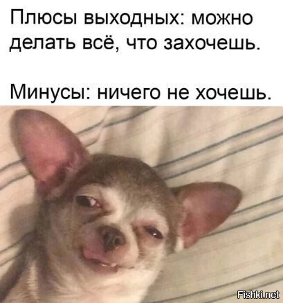 Солянка от 21.02.2026