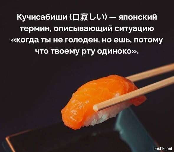 Солянка от 22.02.2026