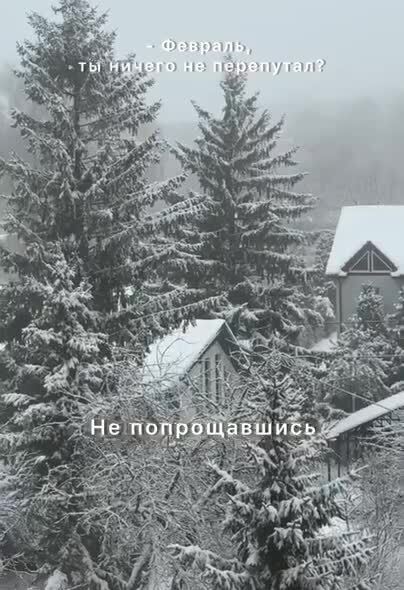 Солянка от 22.02.2026