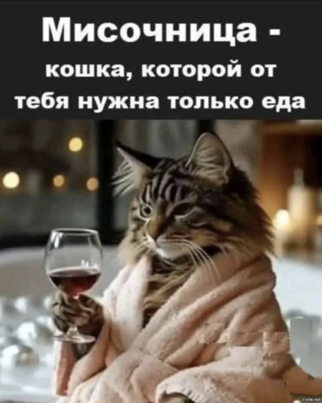 Солянка от 22.02.2026