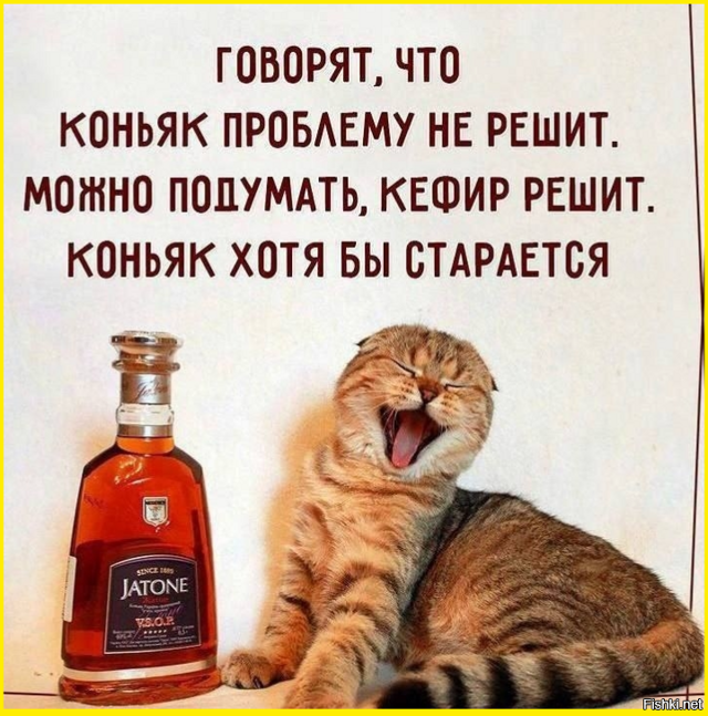 Солянка от 22.02.2026