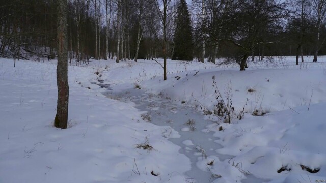 Солянка от 22.02.2026