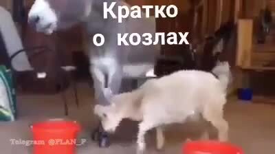 Солянка от 23.02.2026