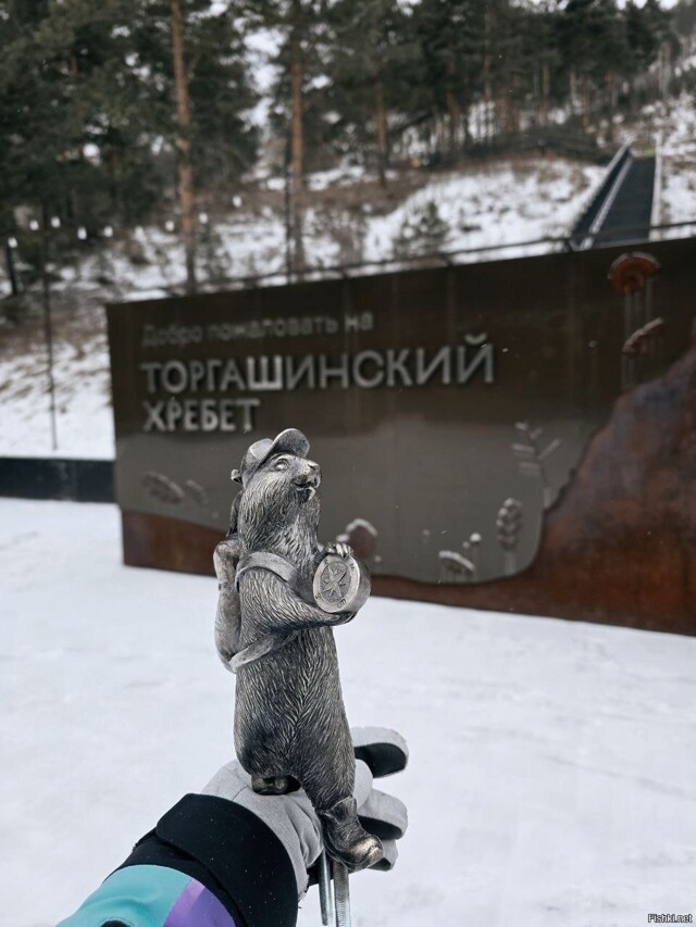 Солянка от 23.02.2026