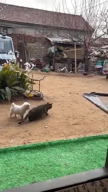 Помощник