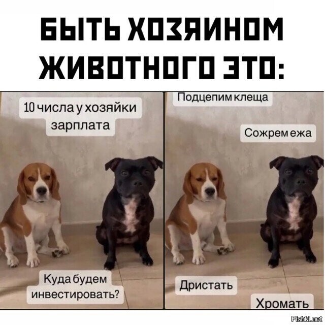 Солянка от 23.02.2026