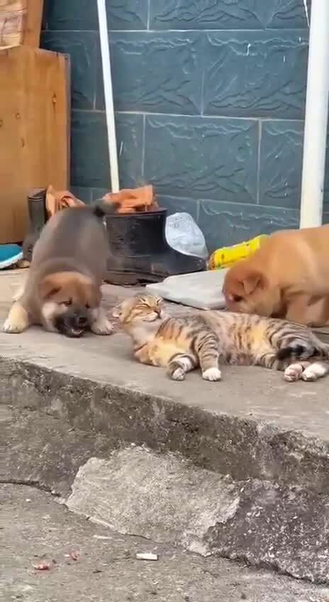 Солянка от 23.02.2026