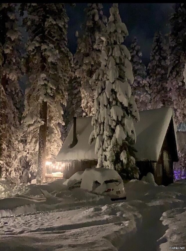 Солянка от 23.02.2026