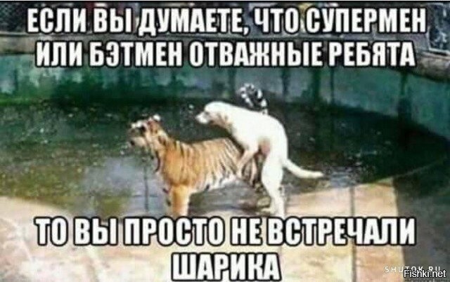 Солянка от 24.02.2026