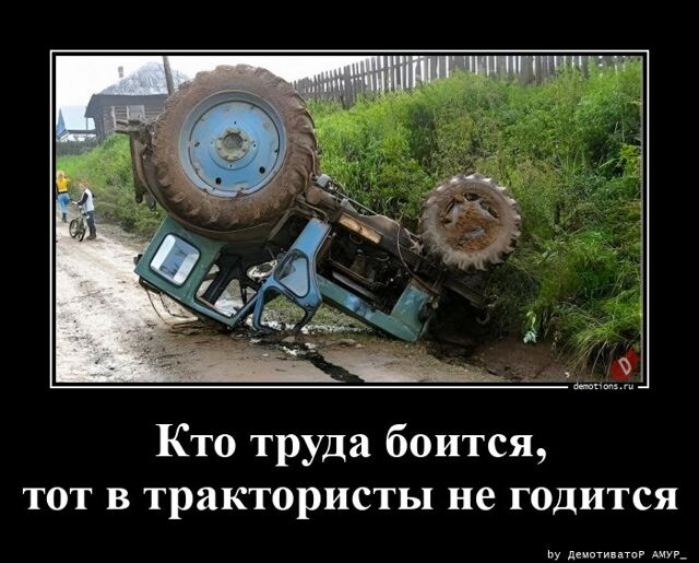 Демотиваторы   дня