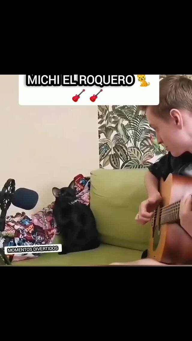 Музыкальные способности