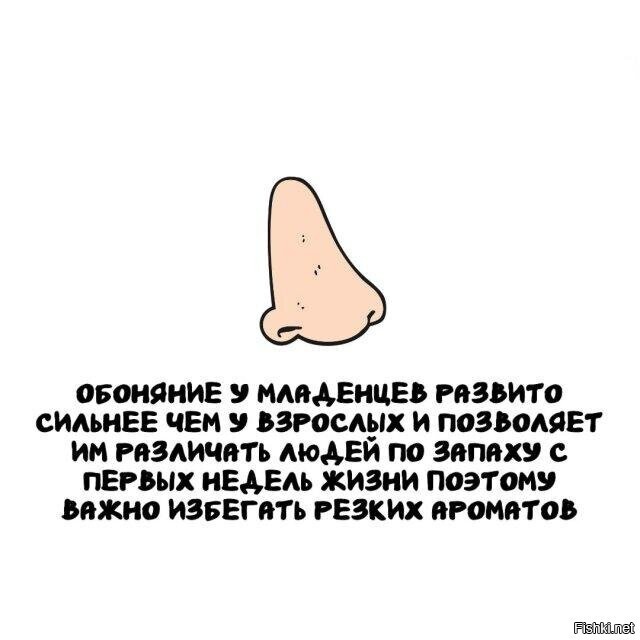 Солянка от 24.02.2026