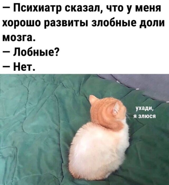 Весëлые картинки