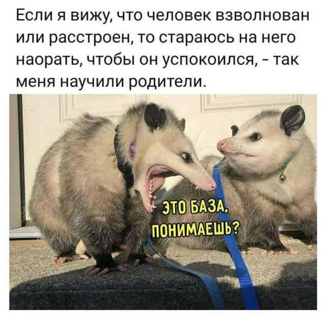 Весëлые картинки