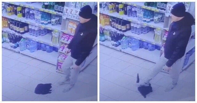 Мужчина наступил на кота в магазине