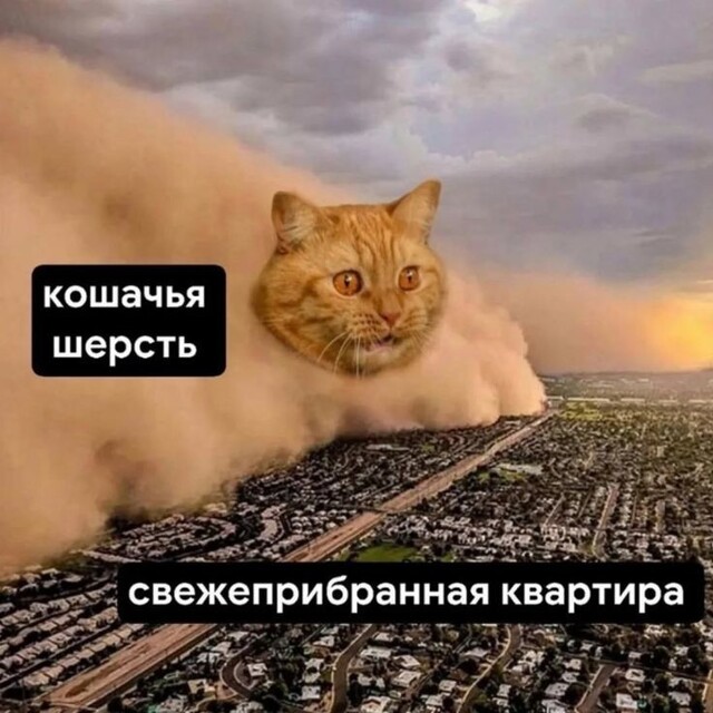 Весëлые картинки
