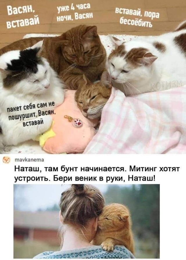 Весëлые картинки