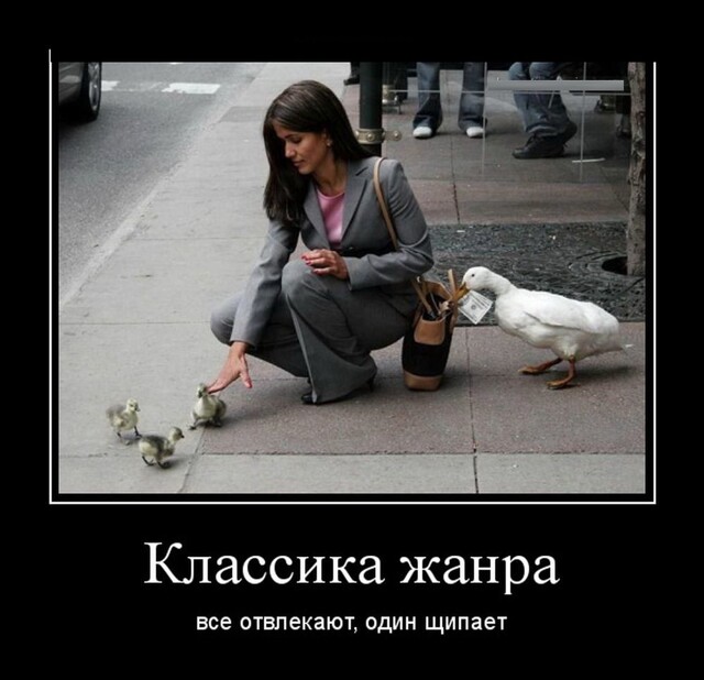 Демотиваторы, которые ударят позитивом