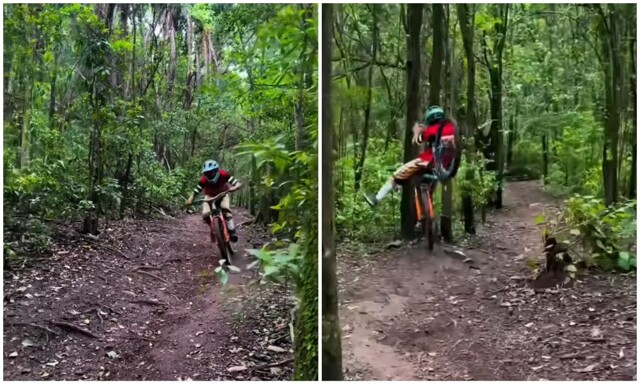 На переднем колесе в дерево