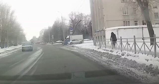 Выгул пса в Омске