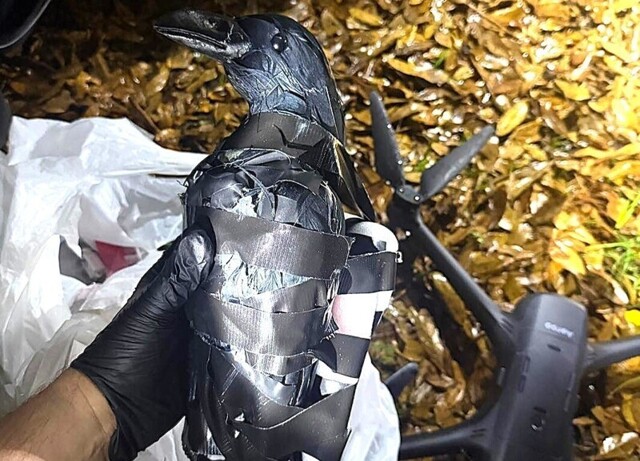 С помощью пластиковой вороны женщины доставляли наркотики в тюрьму