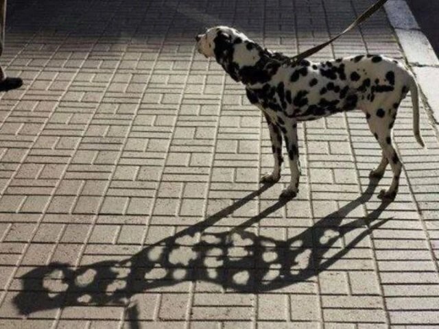 Скрины из соцсетей&nbsp;&nbsp;&nbsp;&nbsp;&nbsp;&nbsp;&nbsp;&nbsp;&nbsp;&nbsp;&nbsp;&nbsp;