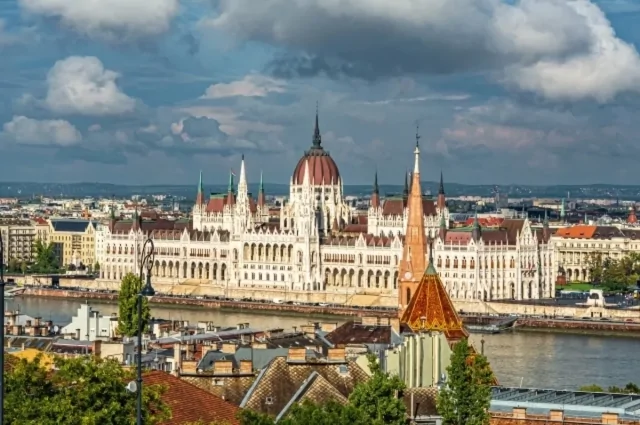 Свиную голову подкинули к посольству Украины в Будапеште