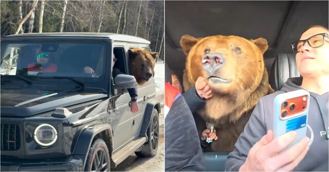 Русский косолапый катается на Гелике и шокирует иностранцев