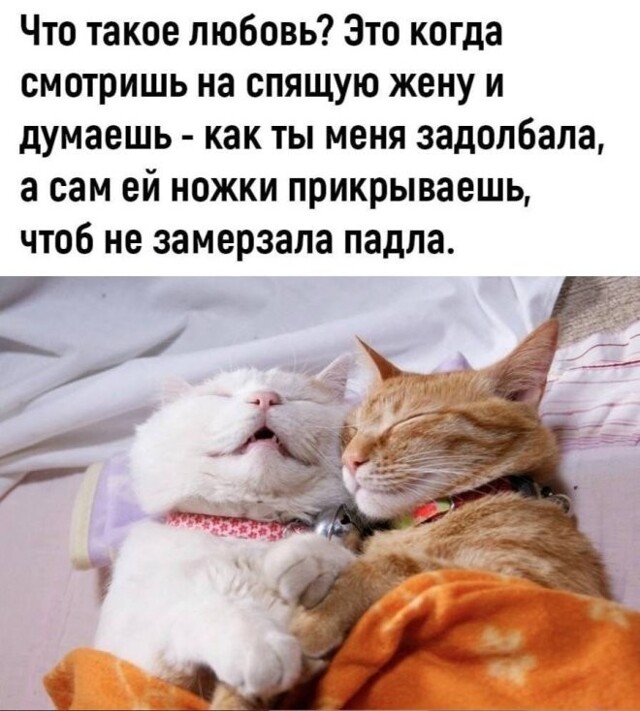 Смешные картинки