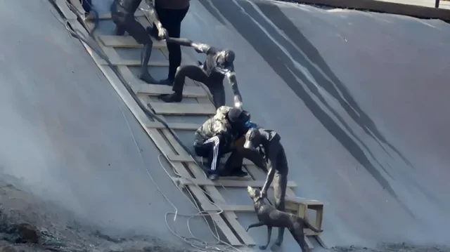 Историю спасения собаки в Алматы увековечили в арт-объекте