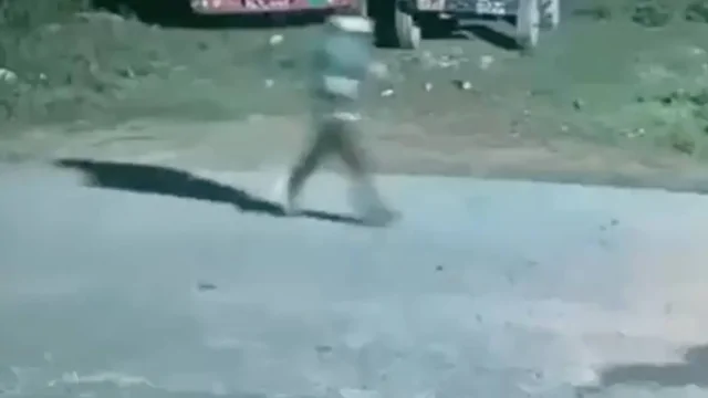 Пробежка обернулась паникой: мужчине пришлось спасаться бегством