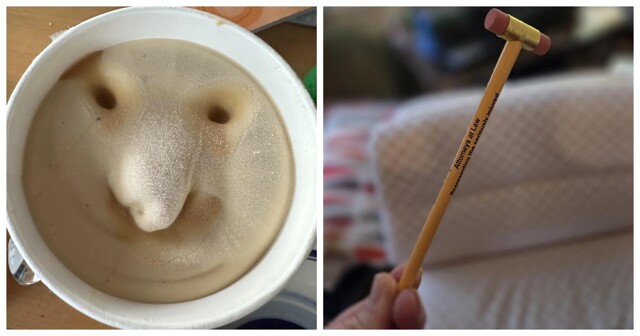 22 бытовых открытия, которые делают жизнь интереснее